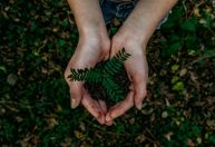 Empresas devem fazer mais para proteger a biodiversidade, diz Fórum Econômico Mundial