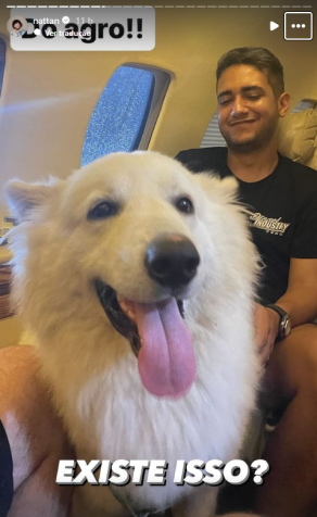Nattan foi dormir antes de todos e, quando acordou, descobriu que eles haviam “roubado” seus animais de estimação / Instagram/Reprodução
