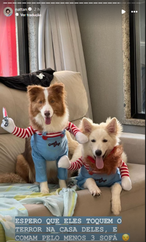 Nattan disse que vai se vingar do roubo dos cachorros / Instagram/Reprodução