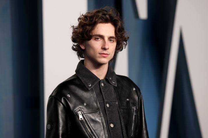 Timothée Chalamet, ator / John Shearer/Getty Images