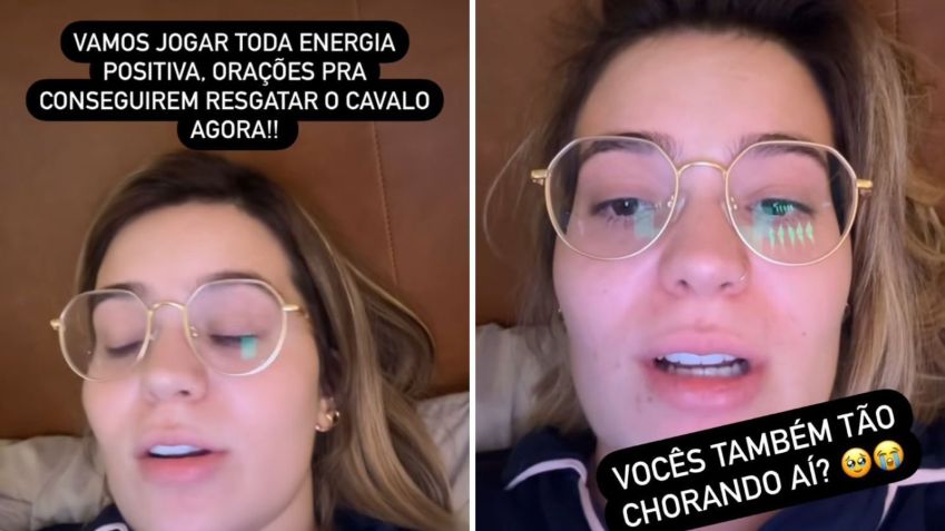 Viih Tube se emociona com resgate de animal no RS / Reprodução/Viih Tube/Instagram
