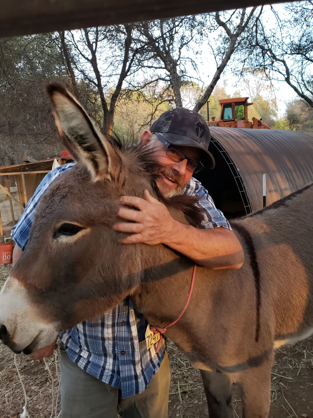 Diesel e Dave Drewry / Terrie e Dave Drewry