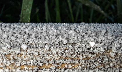 Rio Grande do Sul amanhece com geada e baixas temperaturas