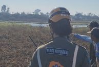 Força-tarefa resgata animais ameaçados por incêndios no Pantanal