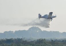 Bombeiros tentam combater incêndios no Pantanal em junho de 2024
