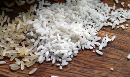 Abiarroz: tarifa dos EUA pode gerar perda de US$ 25 milhões por ano