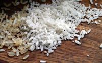 Abiarroz: tarifa dos EUA pode gerar perda de US$ 25 milhões por ano