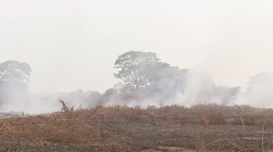Pantanal registrou secas históricas nos anos 40 e 60