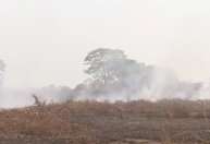 Planalto cria sala de situação para acompanhar secas e queimadas no Pantanal e Amazônia