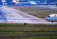 Vídeo: Cachorro invade pista do aeroporto de Guarulhos, em SP; veja