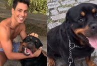 Polícia do Rio investiga suposto envenenamento de cães na Barra da Tijuca