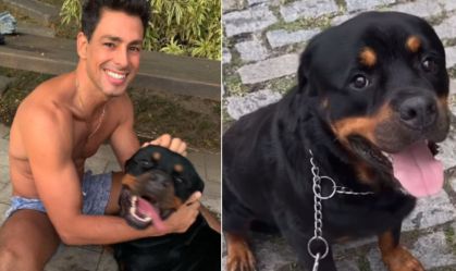 Cauã-Reymond-Cachorro