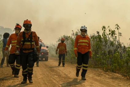 Entre os 20 pontos iniciais de incêndio, foram identificados 13 imóveis rurais