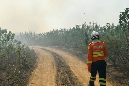 Bombeiros tentam combater incêndios no Pantanal em junho de 2024