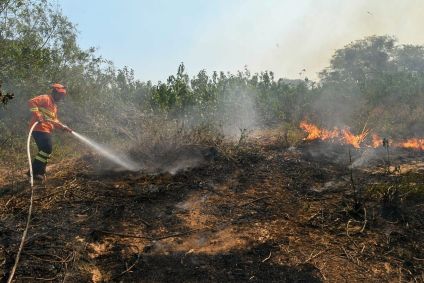 Bombeiros tentam combater incêndios no Pantanal em junho de 2024