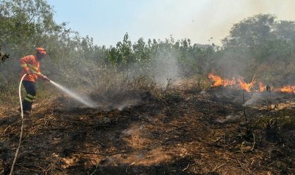 Bombeiros tentam combater incêndios no Pantanal em junho de 2024