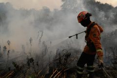 Bombeiros tentam combater incêndios no Pantanal em junho de 2024