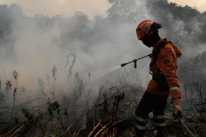 Bombeiros tentam combater incêndios no Pantanal em junho de 2024