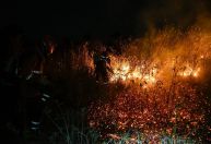 Governo publica MP para permitir aviões estrangeiros em combate a incêndios