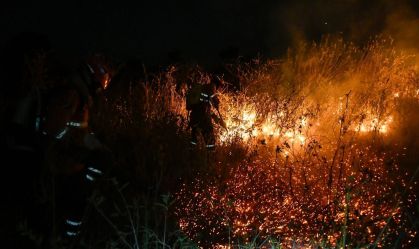 Governo publica MP para permitir aviões estrangeiros em combate a incêndios