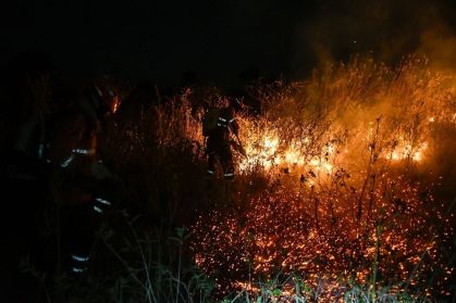 Bombeiros tentam combater incêndios no Pantanal em junho de 2024