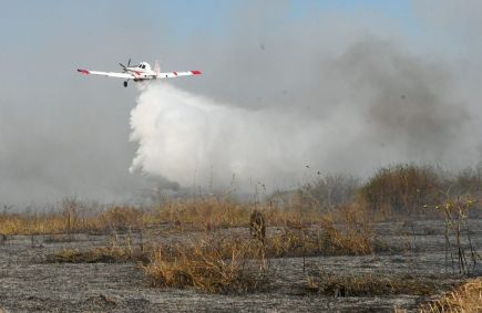 Bombeiros tentam combater incêndios no Pantanal em junho de 2024