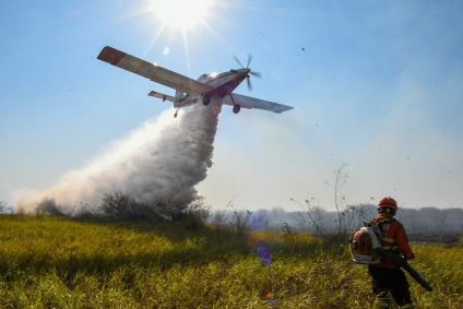 Bombeiros tentam combater incêndios no Pantanal em junho de 2024