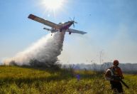 Pantanal: Ibama pede alteração em lei de aviação para combate a incêndios