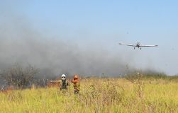 Bombeiros tentam combater incêndios no Pantanal em junho de 2024