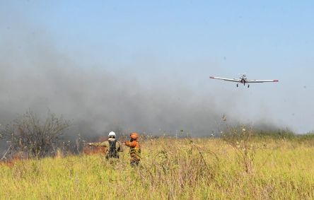 Bombeiros tentam combater incêndios no Pantanal em junho de 2024