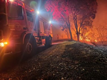 Bombeiros tentam combater incêndios no Pantanal em junho de 2024