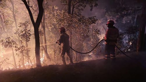 Bombeiros tentam combater incêndios no Pantanal em junho de 2024