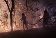 Ministério Público quer brigada permanente do Ibama para combater queimadas no Pantanal