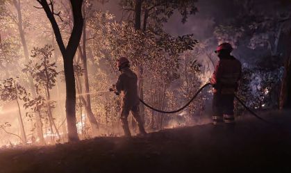 Bombeiros tentam combater incêndios no Pantanal em junho de 2024