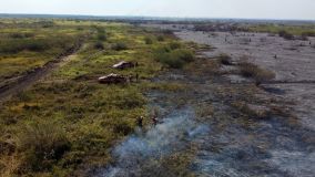 Bombeiros tentam combater incêndios no Pantanal em junho de 2024