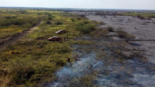 Bombeiros tentam combater incêndios no Pantanal em junho de 2024