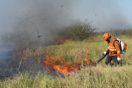 Bombeiros tentam combater incêndios no Pantanal em junho de 2024