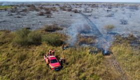 Bombeiros tentam combater incêndios no Pantanal em junho de 2024