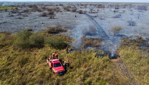 Bombeiros tentam combater incêndios no Pantanal em junho de 2024