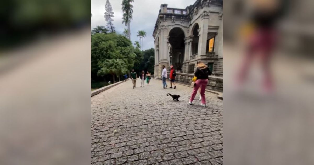 Influenciadora Sofre Tentativa De Assalto Inusitada Em Parque No Rio