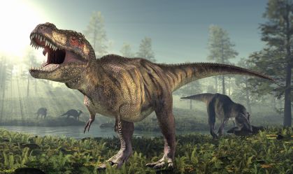 "Teen-Rex": crianças encontram fóssil raro de tiranossauro adolescente nos EUA