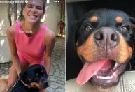 Mariana Goldfarb faz homenagem para cachorro do ex Cauã Reymond: 