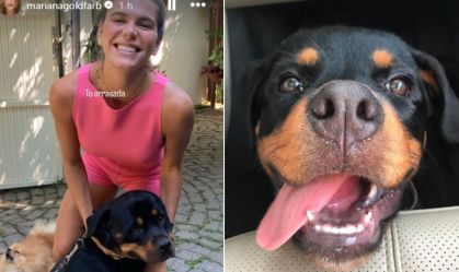 Mariana-Goldfarb-Cachorro