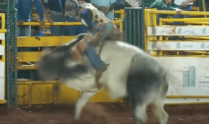 Vídeo: peão é arremessado por touro durante rodeio em Minas Gerais