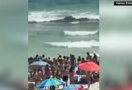 Vídeo: dois ataques de tubarão na Flórida deixam três feridos