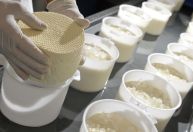 Ícone da culinária mineira, queijo do Serro será atração no Festival do Queijo Minas Artesanal