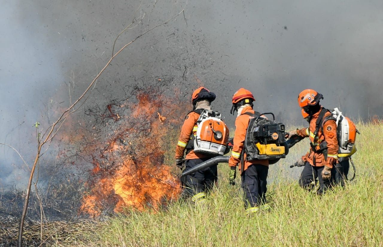 Pantanal bate recorde de queimadas desde o começo da medição o INPE