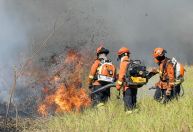 Após reunião de crise, ministras decidem visitar áreas atingidas por incêndios no Pantanal
