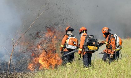 Pantanal bate recorde de queimadas desde o começo da medição o INPE