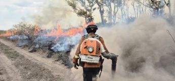 Bombeiros tentam combater incêndios no Pantanal em junho de 2024